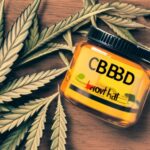 CBD - 5 najczęściej powtarzanych mitów