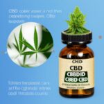 Olej konopny CBD: właściwości terapeutyczne naturalnego CBD